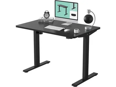Flexispot Electric Standing Desk (48 x 30)